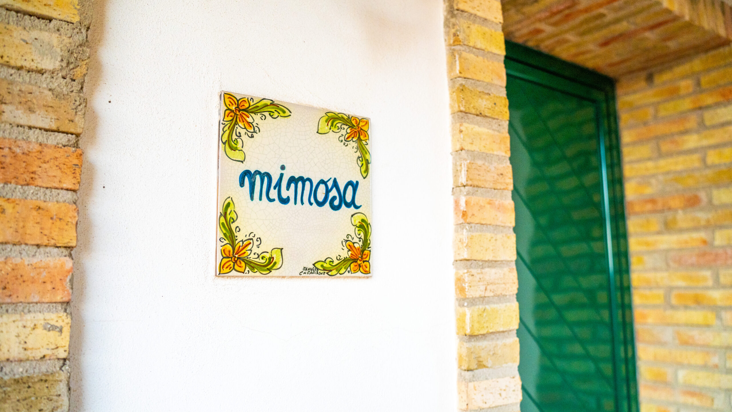 mimosa